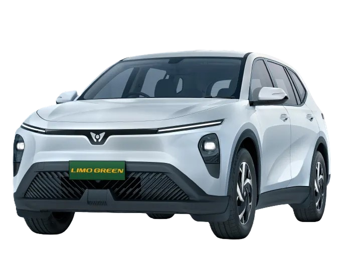 Limo Green electric SUV for VinFast dealership opportunity